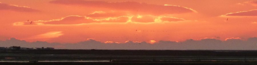 sunset2